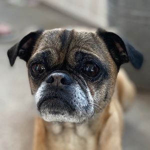 Meet your Posher, Emma